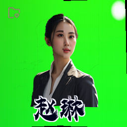 赵琳